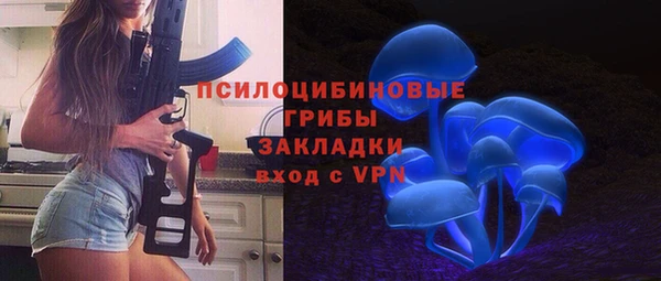 индика Саяногорск