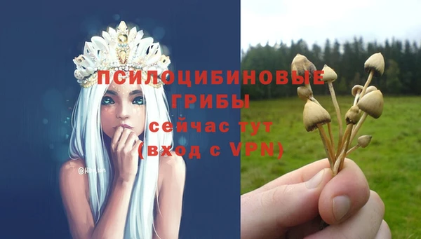 ALPHA PVP Сатка