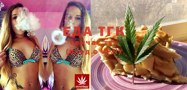 индика Саяногорск